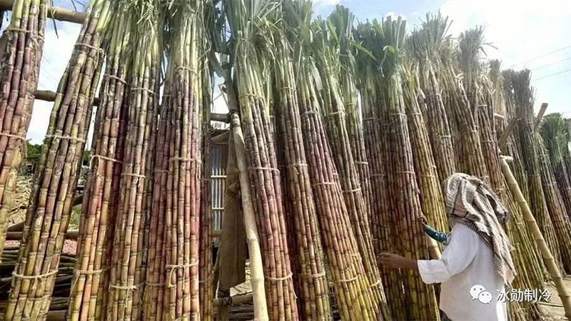 1689644806901755.jpg 23-2.jpg