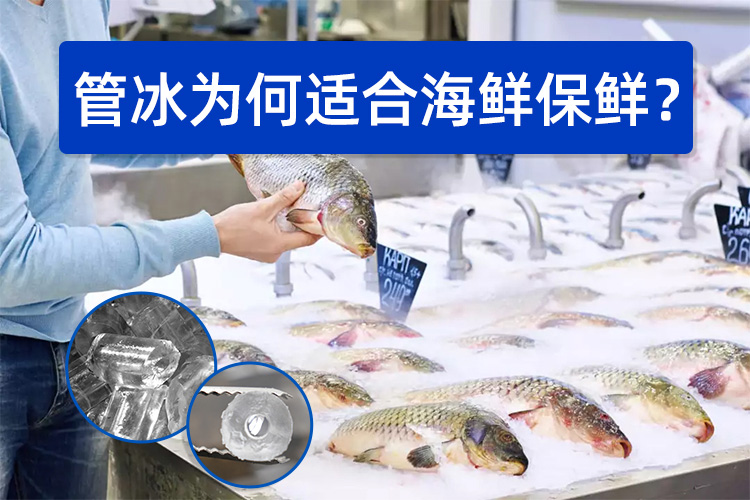管冰為何如此適合海鮮保鮮？