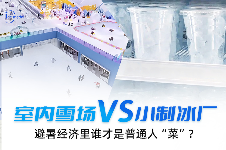 室內(nèi)雪場VS小制冰廠，避暑經(jīng)濟(jì)里誰才是普通人“菜”？